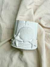 Ogaa Coastal Shell Toothbrush Holder